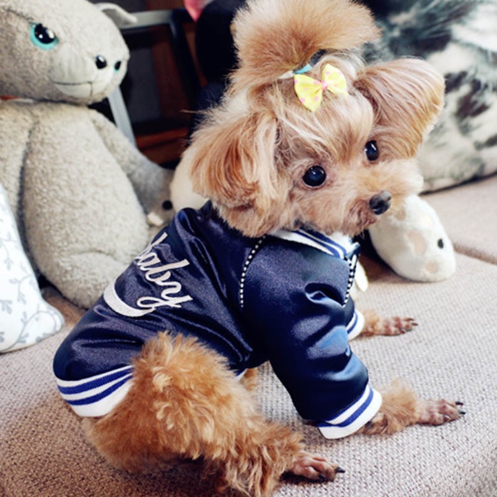 Dog Baby Dog Bomber jacket - Picture 7 of 8